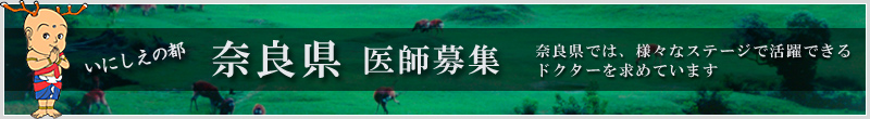 ���ɸ� ������罸