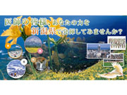 新潟県ドクターバンク(福祉保健部医師・看護職員確保対策課)