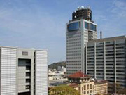 静岡県 公衆衛生医師募集